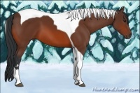 Horse Color:Bay Sabino Tobiano 