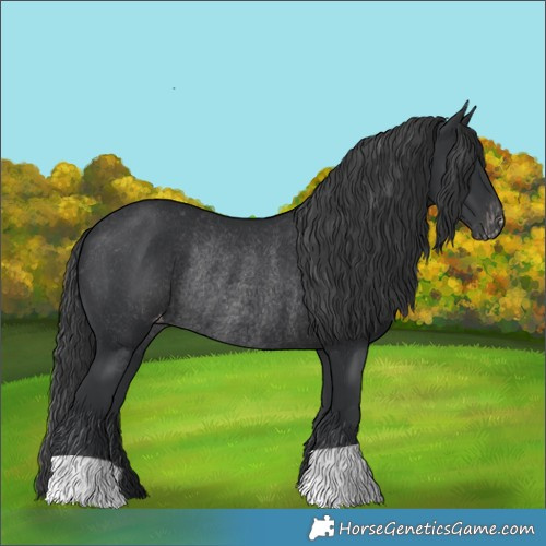 Horse Color:Black Varnish Rabicano 