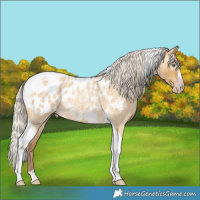 Horse Color:Gray Silver Amber Cream Champagne Roan Dun Splash Tobiano Frame Blanket Rabicano 