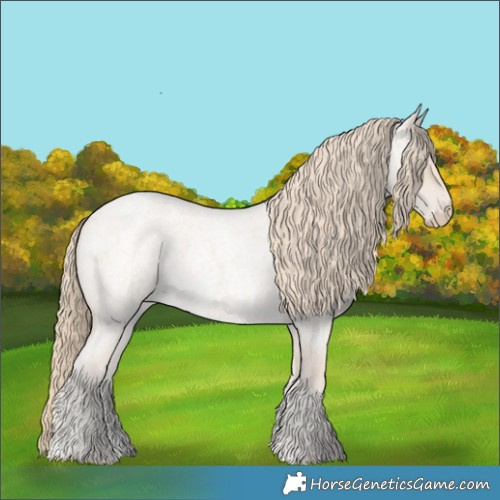 Horse Color:Smoky Creme Roan 