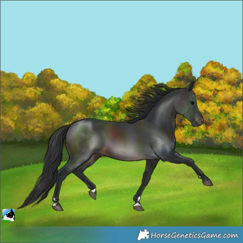 Horse Color:Brown 