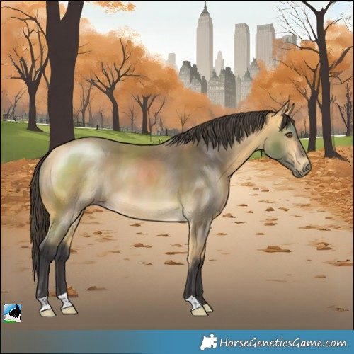 Horse Color:Buckskin Mushroom 