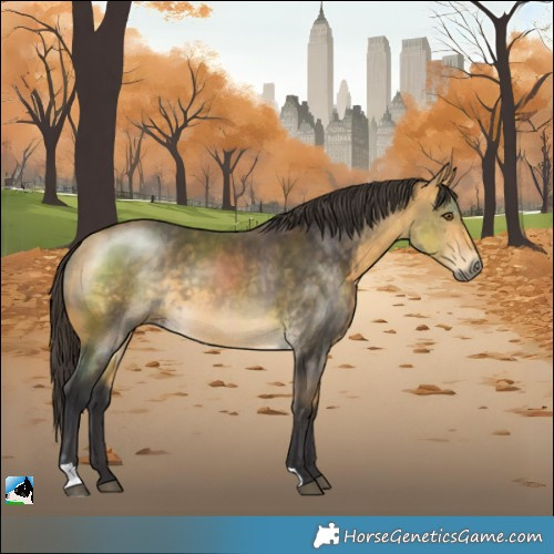 Horse Color:Buckskin Mushroom