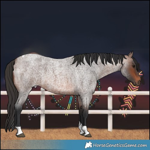 Horse Color:Brown Roan Tobiano Rabicano 