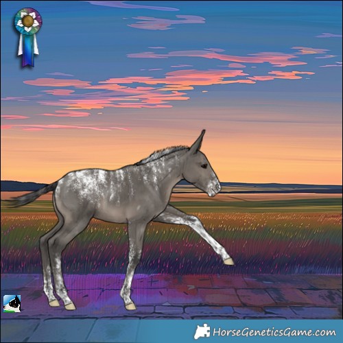 Horse Color:Powder White Grullo Brindle