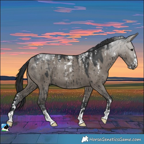 Horse Color:Powder White Grullo Brindle