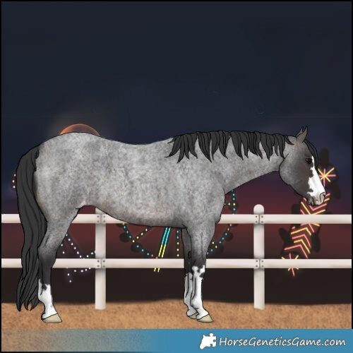 Horse Color:Brown Roan Varnish