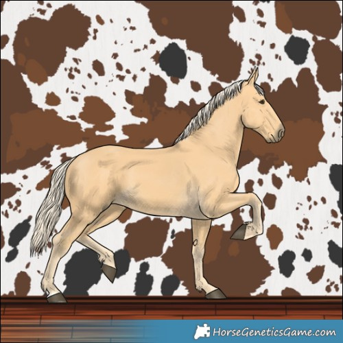 Horse Color:Palomino 