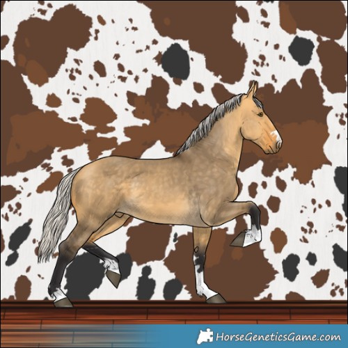 Horse Color:Silver Buckskin Dun 