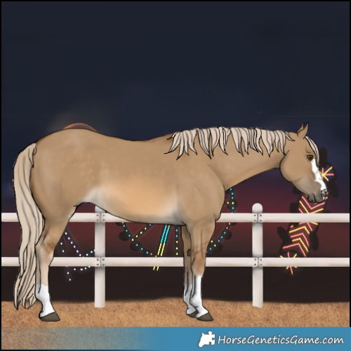 Horse Color:Chocolate Palomino Dun