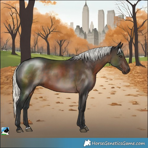 Horse Color:Liver Chestnut Mushroom Rabicano 