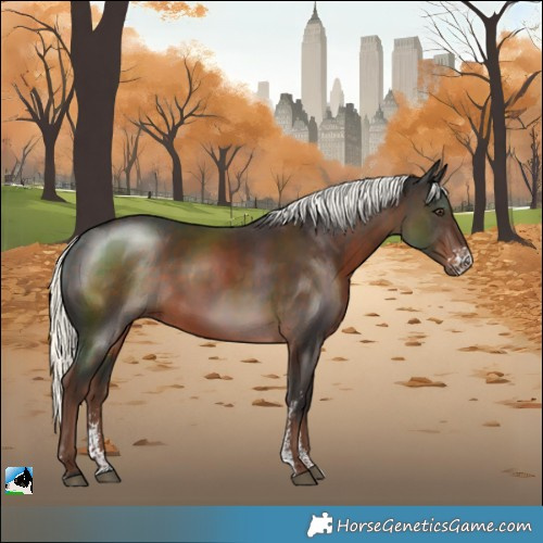 Horse Color:Liver Chestnut Mushroom Sabino Rabicano 