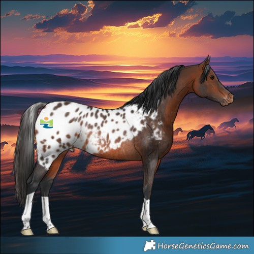 Horse Color:Brown Skewed LP Spotted Rabicano 