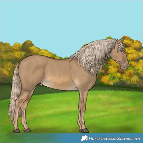 Horse Color:Chocolate Palomino Dun Varnish 