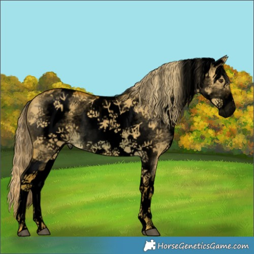 Horse Color:Void Watercolor White Spotted Red Dun 