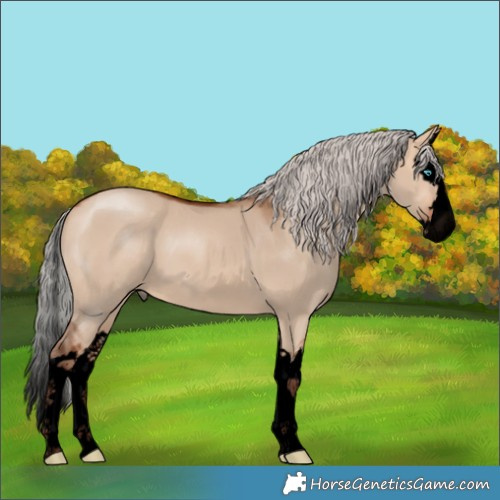Horse Color:Void Silver Bay Dun Splash