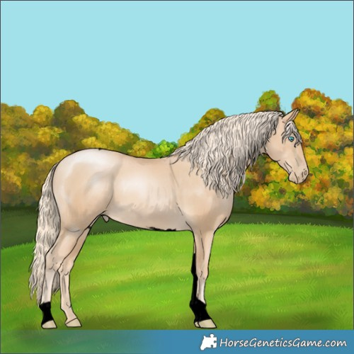 Horse Color:Void Palomino Pearl Tobiano