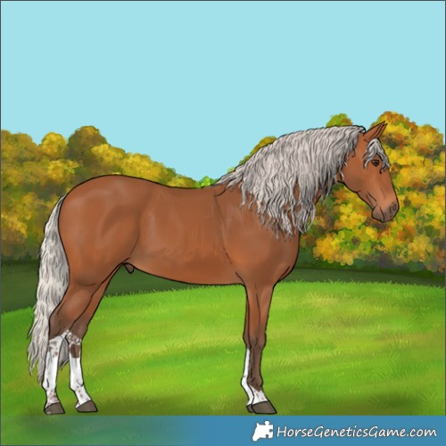 Horse Color:Silver Bay Tobiano