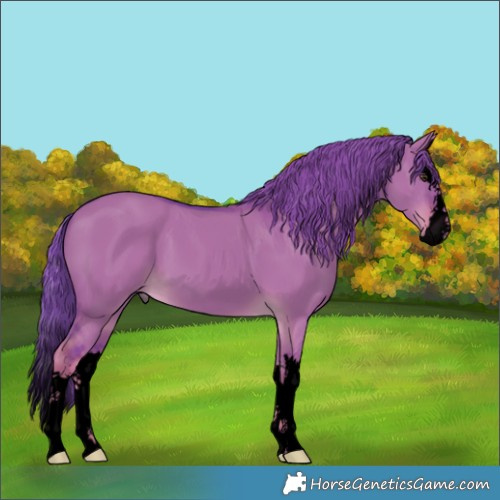 Horse Color:Void Watercolor Liver Red Dun Splash 