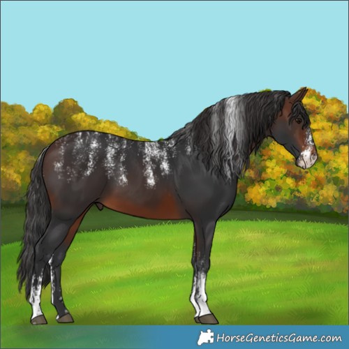 Horse Color:Powder White Brown 