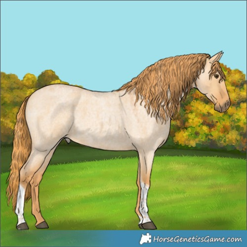 Horse Color:Red Dun Roan Tobiano Rabicano