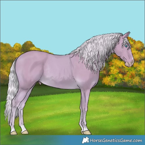 Horse Color:Watercolor Cremello Rabicano