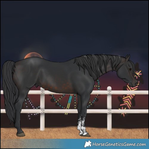 Horse Color:Brown Sabino