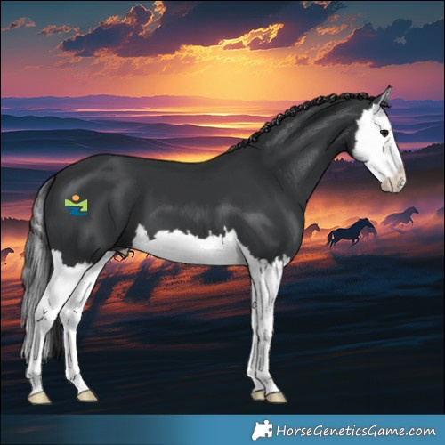 Horse Color:Black Splash 