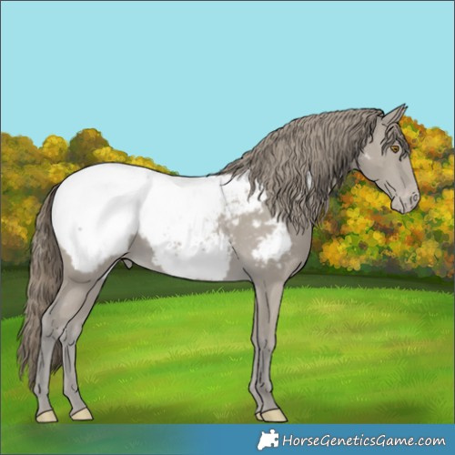 Horse Color:Classic Cream Champagne Snowcap 