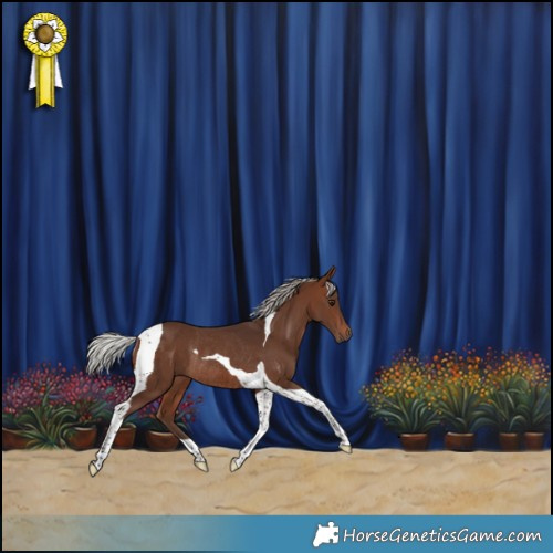 Horse Color:Silver Brown Tobiano Rabicano 
