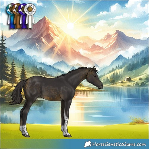 Horse Color:Buckskin Tobiano Rabicano