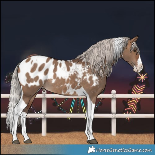 Horse Color:Silver Brown Dun Splash Tobiano Blanket Rabicano