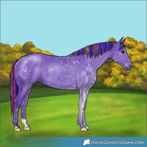 Horse Color:Painted Watercolor Black Rabicano