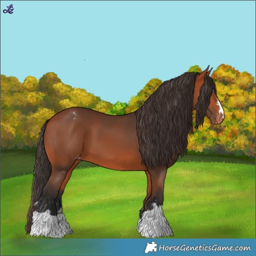 Horse Color:Bay Varnish 