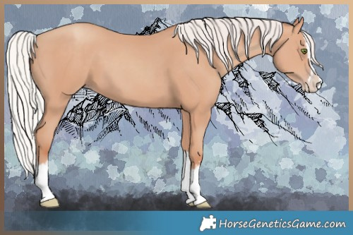 Horse Color:Silver Classic Champagne Splash 
