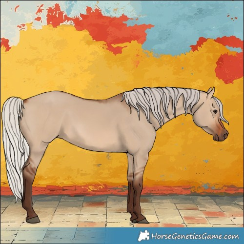 Horse Color:Silver Brown Dun