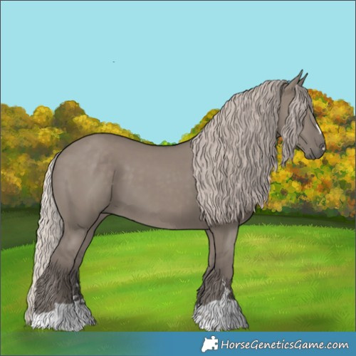 Horse Color:Silver Grullo