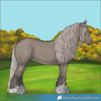 Horse Color:Silver Grullo 
