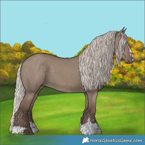 Horse Color:Silver Grullo 
