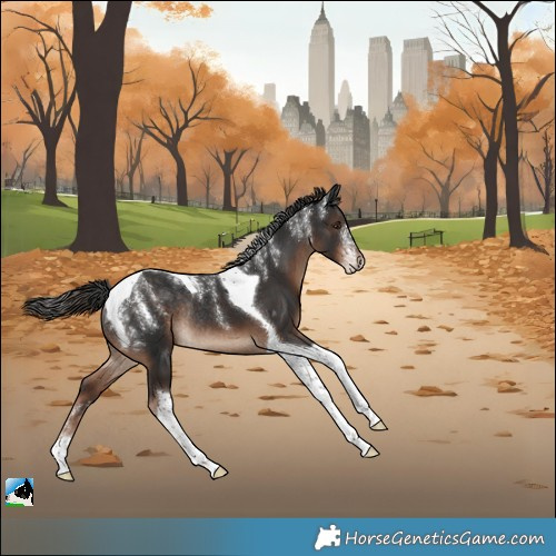 Horse Color:Powder White Liver Chestnut Tobiano Rabicano