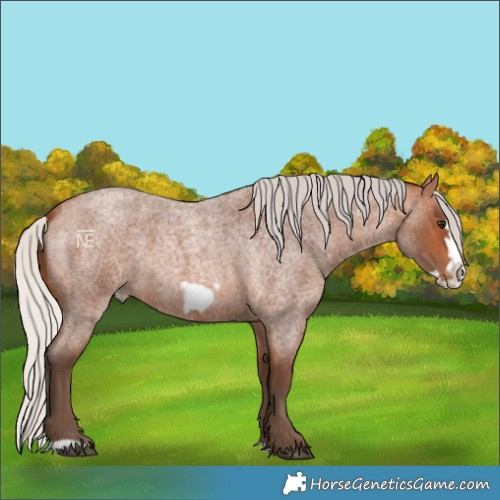 Horse Color:Silver Bay Roan Frame