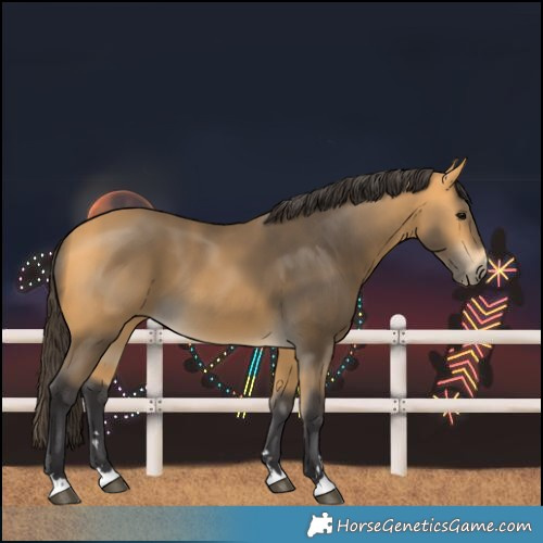 Horse Color:Buckskin