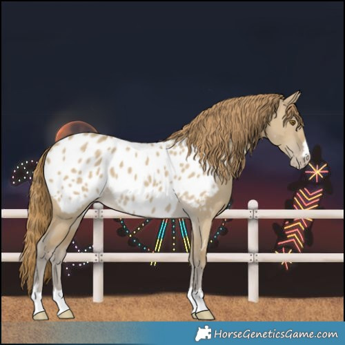Horse Color:Classic Cream Champagne Dun Near Leopard 