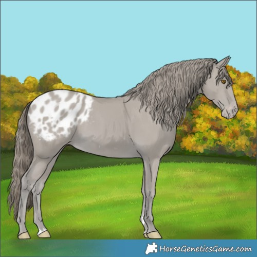 Horse Color:Classic Cream Champagne Blanket