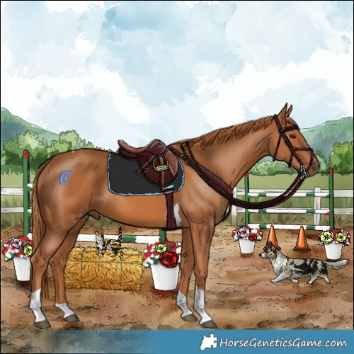 Horse Color:Chestnut Tobiano 