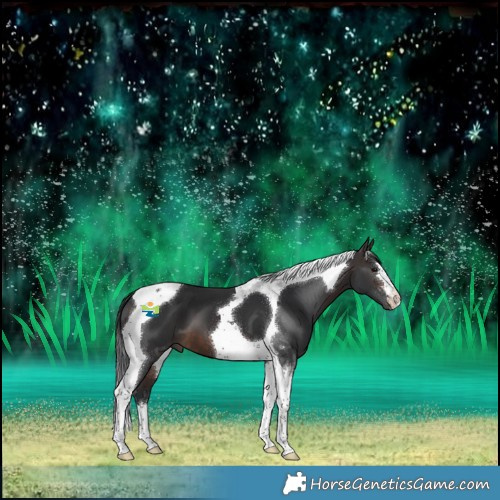 Horse Color:Brown Tobiano 