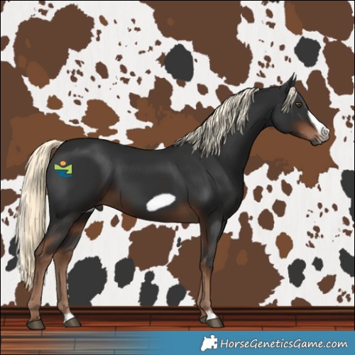 Horse Color:Gray Liver Chestnut Mushroom Frame