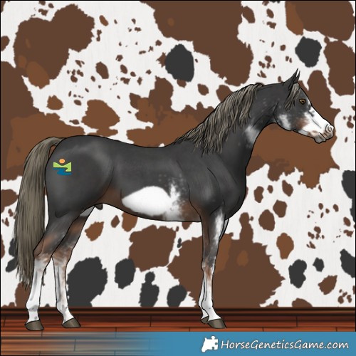 Horse Color:Gray White Spotted Liver Chestnut Mushroom Frame