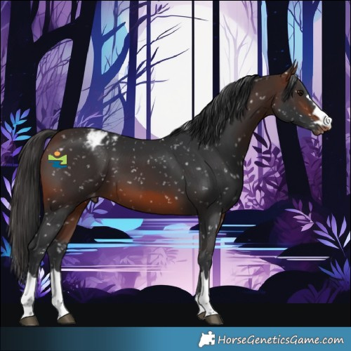 Horse Color:Brown Snowflake Varnish Rabicano 