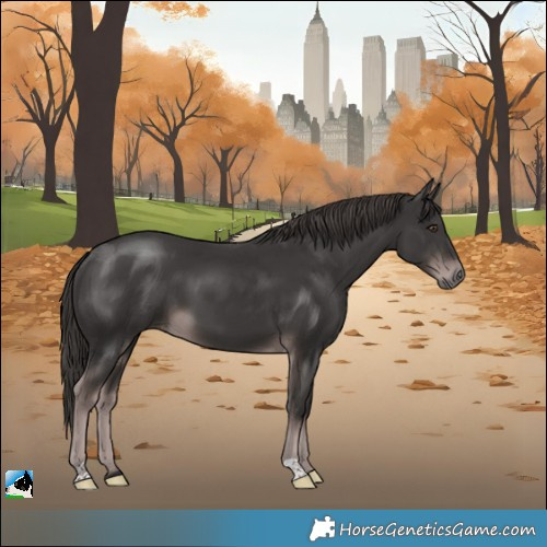 Horse Color:Platinum Liver Chestnut 
